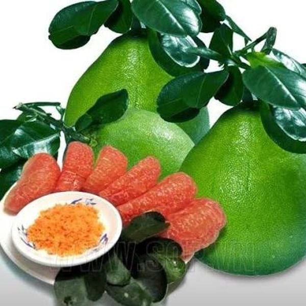 Bưởi — ảnh minh hoạ 1