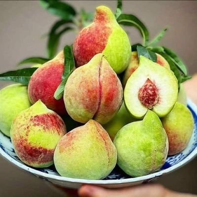Đào nhà vườn