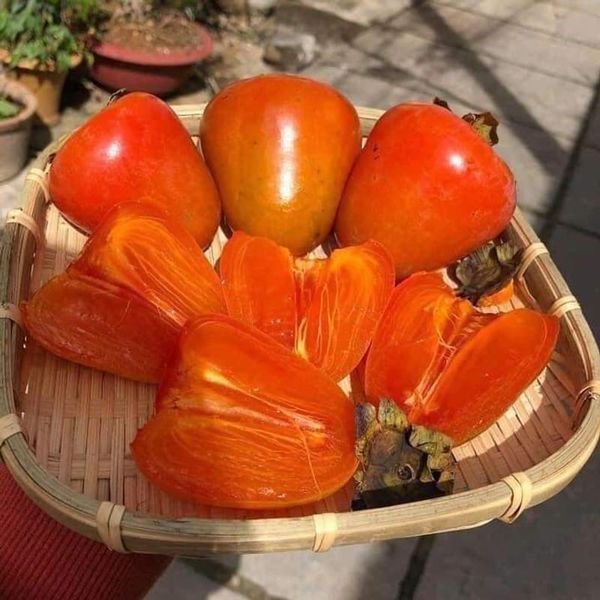 Hồng chín cây — ảnh minh hoạ 1